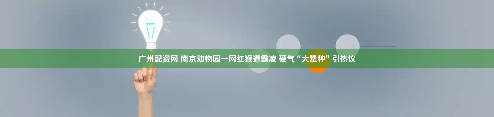 广州配资网 南京动物园一网红猴遭霸凌 硬气“大犟种”引热议