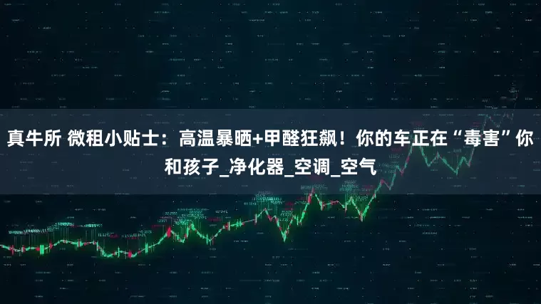 真牛所 微租小贴士：高温暴晒+甲醛狂飙！你的车正在“毒害”你和孩子_净化器_空调_空气